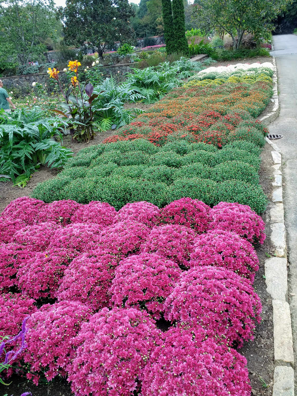 Flower beds